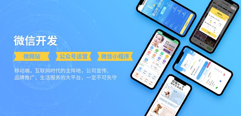 上海软件开发行业新动态：技术与市场的双向奔赴
